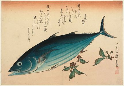 歌川広重: Bonito and Saxifrage, from an untitled series known as Large Fish - ボストン美術館