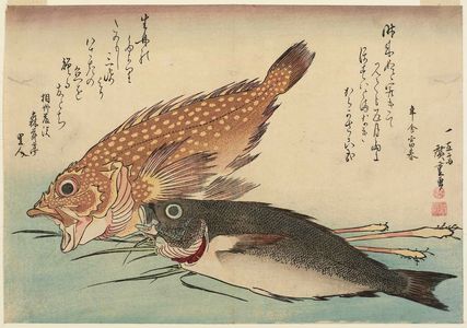 Utagawa Hiroshige: Scorpionfish, Isaki, and Ginger, from an untitled series known as Large Fish - Museum of Fine Arts