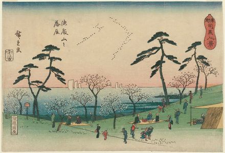Utagawa Hiroshige: Descending Geese at Goten-yama (Goten-yama no rakugan), from the series Eight Views of Shiba in the Eastern Capital (Tôto Shiba hakkei) - Museum of Fine Arts