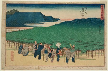 Utagawa Hiroshige: The Naniwaya Pine in Adachi-chô (Adachi-chô Naniwaya no matsu), from the series Famous Views of Osaka (Naniwa meisho zue) - Museum of Fine Arts