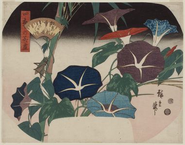 Utagawa Hiroshige: Morning Glories and Cricket, from the series A Compendium of Flowers of the Four Seasons (Shiki no hana zukushi) - Museum of Fine Arts
