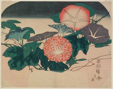 Utagawa Hiroshige: Morning Glories - Museum of Fine Arts