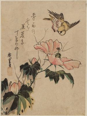 Utagawa Hiroshige: Bird and Hibiscus - Museum of Fine Arts