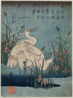 歌川広重: White Herons and Iris - ボストン美術館