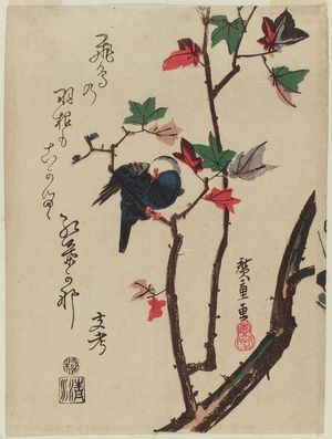 Utagawa Hiroshige: White-headed Bird on Maple Branch - Museum of Fine Arts