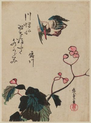 Utagawa Hiroshige: Kingfisher and Begonia - Museum of Fine Arts