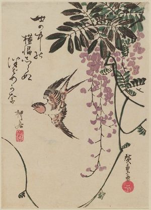 Utagawa Hiroshige: Swallow and Wisteria - Museum of Fine Arts