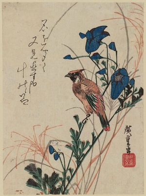 歌川広重: Oriole and Autumn Flowers - ボストン美術館