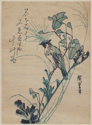 歌川広重: Oriole and Autumn Flowers - ボストン美術館