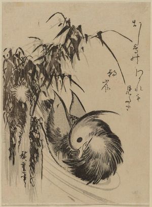 Utagawa Hiroshige: Mandarin Duck and Bamboo Grass - Museum of Fine Arts