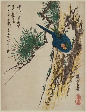 Utagawa Hiroshige: Bird in Pine Tree - Museum of Fine Arts