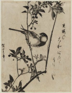Utagawa Hiroshige: Finch on Aronia Branch - Museum of Fine Arts