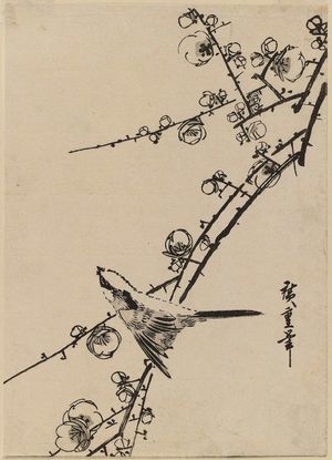 Utagawa Hiroshige: Bird on Plum Branch - Museum of Fine Arts