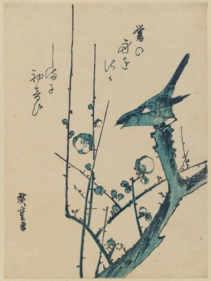 Utagawa Hiroshige: Warbler on Flowering Plum Branch - Museum of Fine Arts