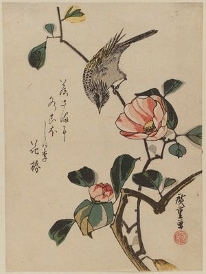 Utagawa Hiroshige: Bird on Camellia Branch - Museum of Fine Arts