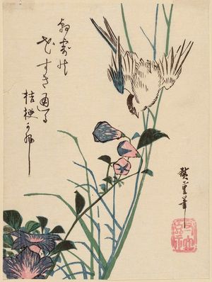 Utagawa Hiroshige: Swallow and Bellflowers - Museum of Fine Arts