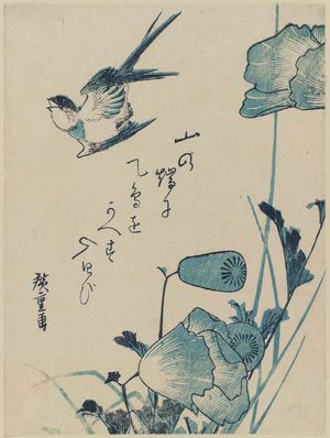 Utagawa Hiroshige: Swallow and Poppies - Museum of Fine Arts