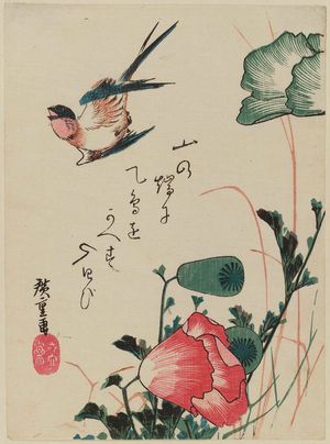 Utagawa Hiroshige: Swallow and Poppies - Museum of Fine Arts