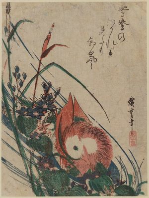 Utagawa Hiroshige: Mandarin Duck and Mizu-aoi - Museum of Fine Arts