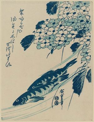 日本版画 "Sweetfish and Hydrangeas" 由 Utagawa Hiroshige, 歌川広重 (Utagawa Hiroshige I) 创作