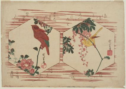 Utagawa Hiroshige: Wisteria and Canary (R), Kingfisher and Clematis (L) - Museum of Fine Arts