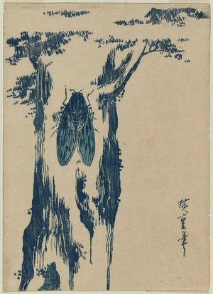 Utagawa Hiroshige: Cicada on a Tree Trunk - Museum of Fine Arts