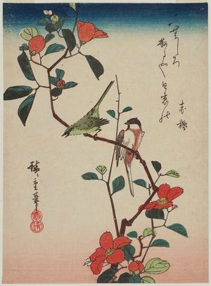 Utagawa Hiroshige: Birds on Camellia Branch - Museum of Fine Arts