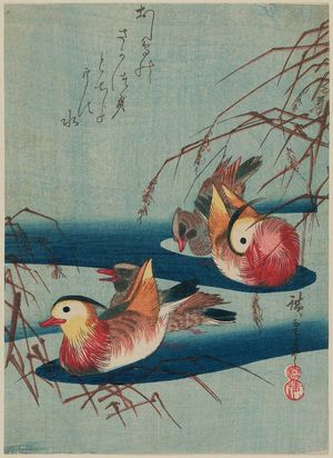 歌川広重: Mandarin Ducks - ボストン美術館