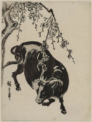 Utagawa Hiroshige: Bull under Cherry Tree - Museum of Fine Arts