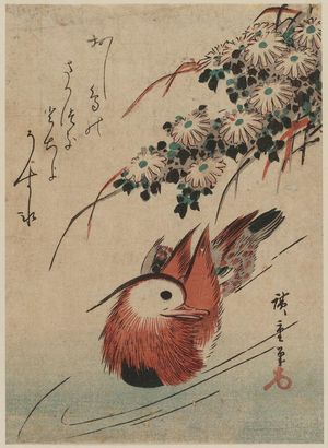 Utagawa Hiroshige: Mandarin Ducks - Museum of Fine Arts