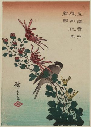 Utagawa Hiroshige, 歌川広重 (Utagawa Hiroshige I)による浮世絵「Bird and Wild Chrysanthemums」