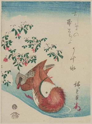 Utagawa Hiroshige: Mandarin Ducks and Nandina in Snow - Museum of Fine Arts