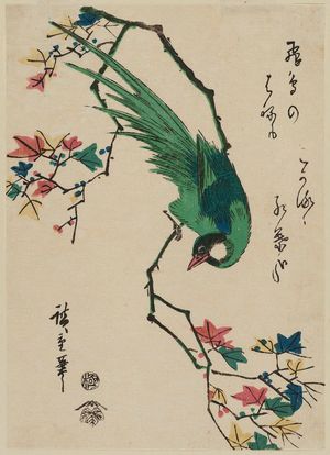 Utagawa Hiroshige: Green Pheasant on Maple Branch - Museum of Fine Arts