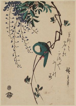 Utagawa Hiroshige: Bird on Wisteria Vine - Museum of Fine Arts