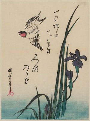 Utagawa Hiroshige: Swallow and Iris - Museum of Fine Arts