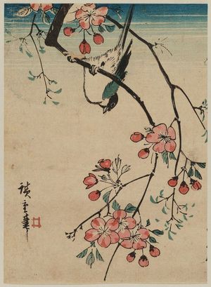 Utagawa Hiroshige: Bird on Cherry Branch - Museum of Fine Arts