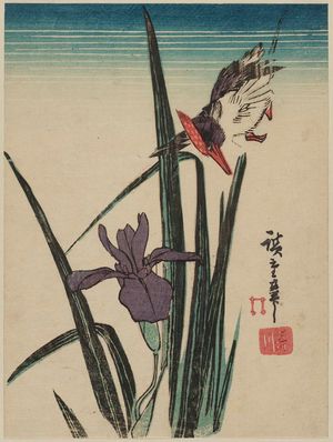 Utagawa Hiroshige: Kingfisher and Iris - Museum of Fine Arts