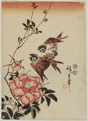 歌川広重: Sparrows and Rose - ボストン美術館