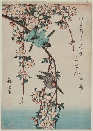 Utagawa Hiroshige: Small Birds and Weeping Cherry - Museum of Fine Arts