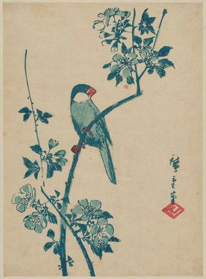 歌川広重: Finch on Cherry Branch - ボストン美術館