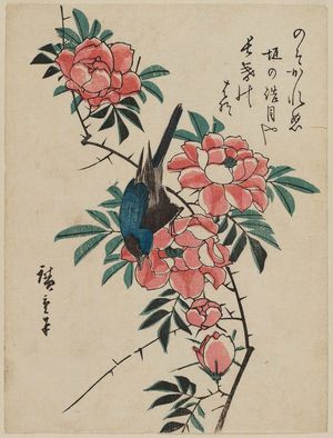 Utagawa Hiroshige: Bluebird and Wild Rose - Museum of Fine Arts