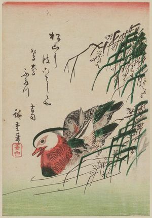 Utagawa Hiroshige: Mandarin Ducks - Museum of Fine Arts