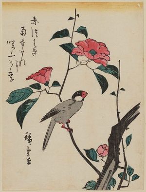 Utagawa Hiroshige: Finch on Camellia - Museum of Fine Arts