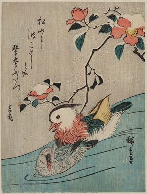 歌川広重: Mandarin Ducks and Camellias in Snow - ボストン美術館