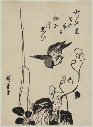 Utagawa Hiroshige: Sparrow and Begonia - Museum of Fine Arts