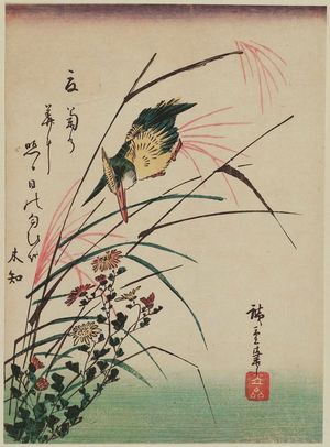歌川広重: Kingfisher and Wild Chrysanthemums - ボストン美術館