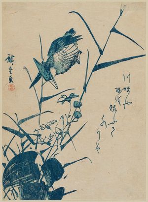 Utagawa Hiroshige: Kingfisher and Begonia - Museum of Fine Arts