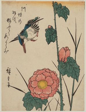 Utagawa Hiroshige: Kingfisher and Wild Rose - Museum of Fine Arts