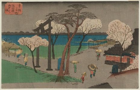歌川広重: Cherry Trees in Rain on the Sumida River Embankment (Sumida zutsumi uchû no sakura), from the series Famous Places in the Eastern Capital (Tôto meisho) - ボストン美術館