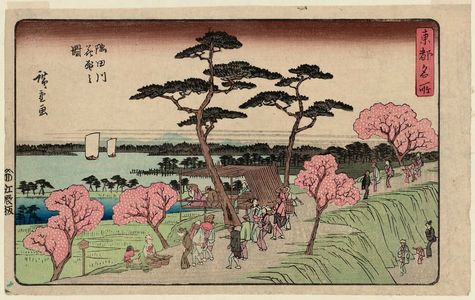 歌川広重: Cherry Blossoms in Full Bloom along the Sumida River (Sumidagawa hanazakari no zu), from the series Famous Places in the Eastern Capital (Tôto meisho) - ボストン美術館